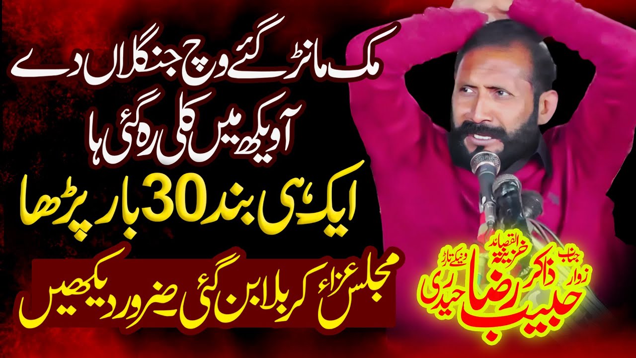 Mok Manr Gy Vich Jangla Dy | Zakir Habib Raza Haideri | Yadgar Noha 2025