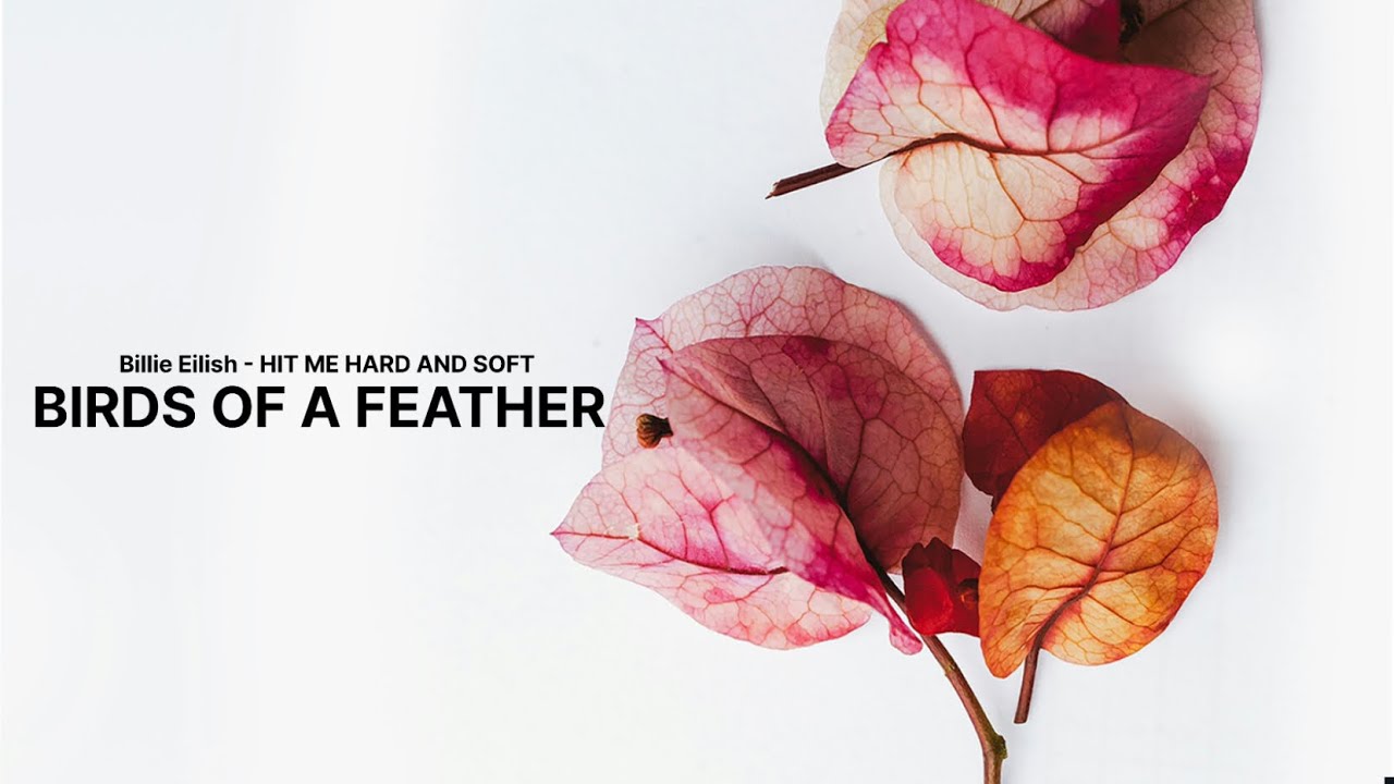 Billie Eilish - BIRDS OF A FEATHER (Clean - Lyrics)
