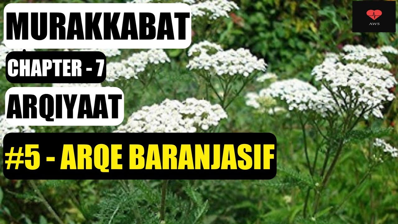 ARQE BARANJASIF | MURAKKABAT | Chapter - 7 | ARQIYAAT | BUMS 3rd Prof   | Preparation | Uses.