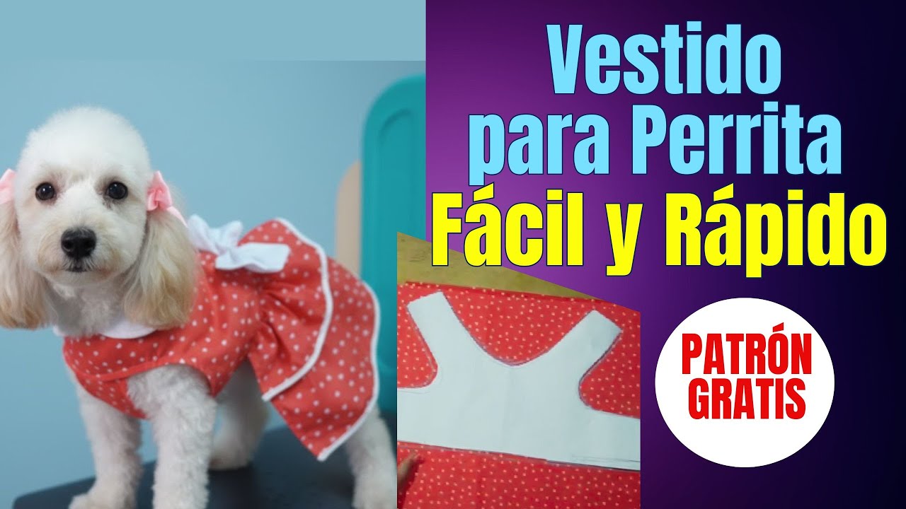 Vestido para Perrita F&aacute;cil y R&aacute;pido | Patr&oacute;n GRATIS