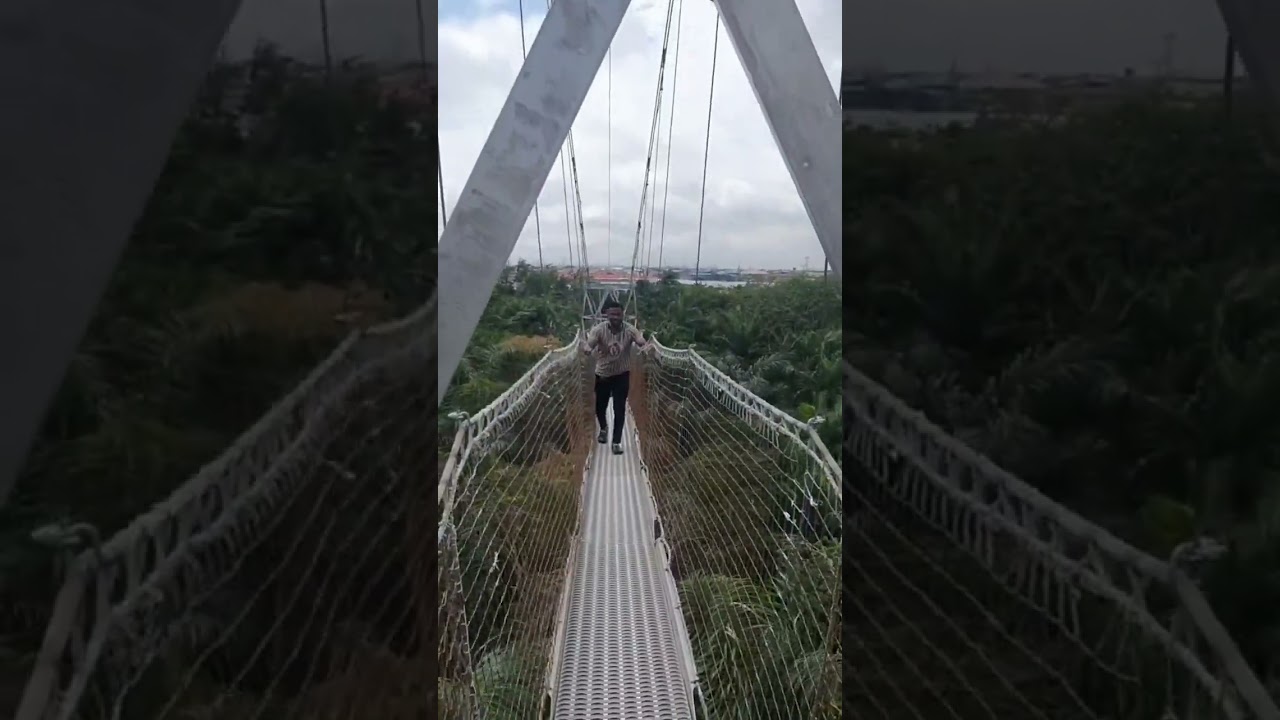 😎Canopy walk at Lekki Conservative Centre - Longest Canopy Walk in Africa #lcc #nature #canopywalk
