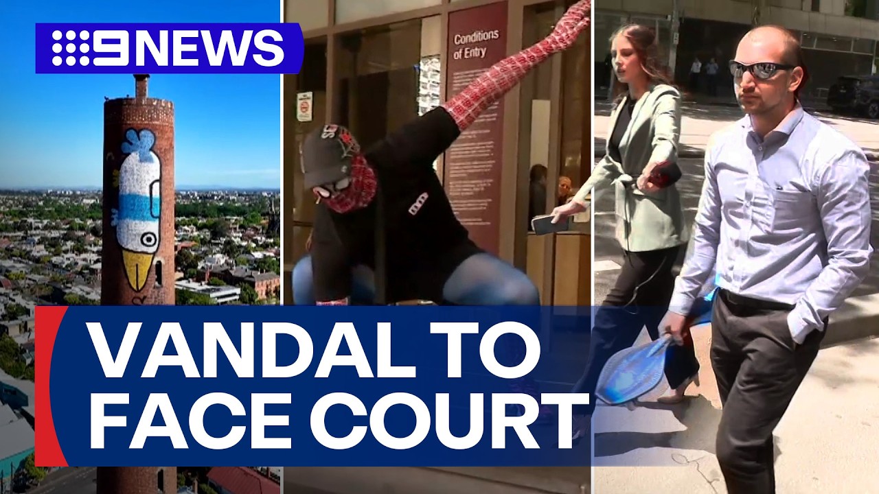 Accused Pam the Bird vandal ordered to stand trial | 9 News Australia