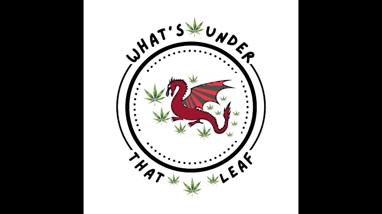 What's Under That Leaf - Reviews Episode 7 Divvy's 