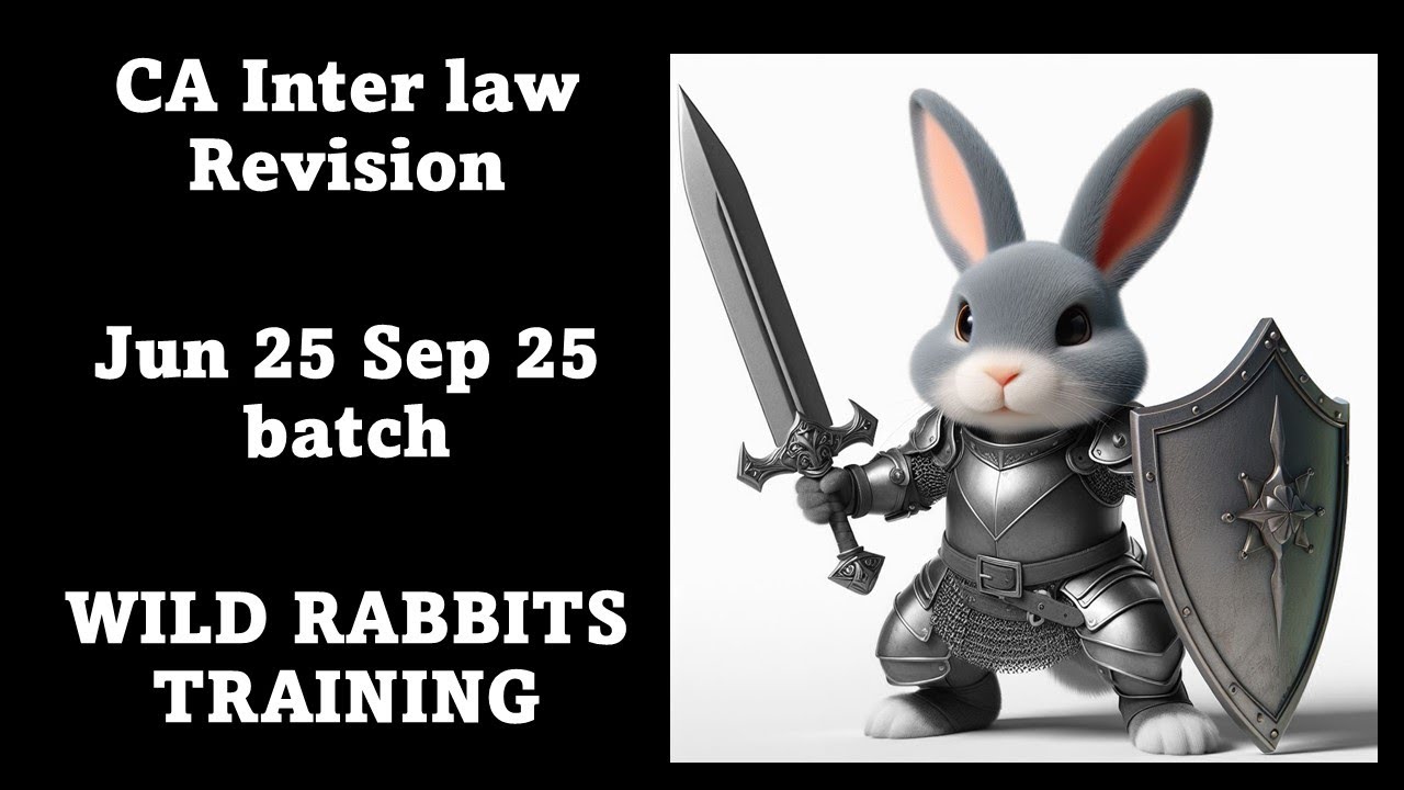 Wild rabbit training| CA INTER | Law revision| sec 1 to sec 87 of companies act 2013| Jun 25 Sep 25