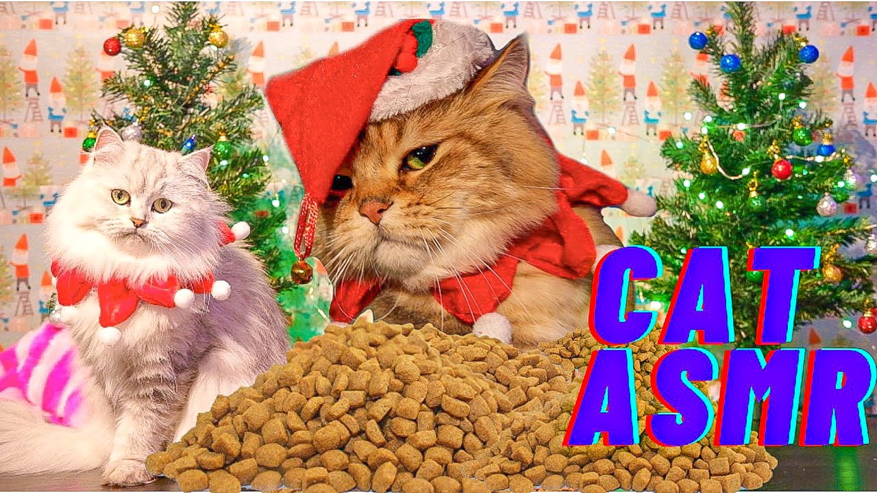 ASMR: CAT CHRISTMAS DINNER (NEW GIRLFRIEND)