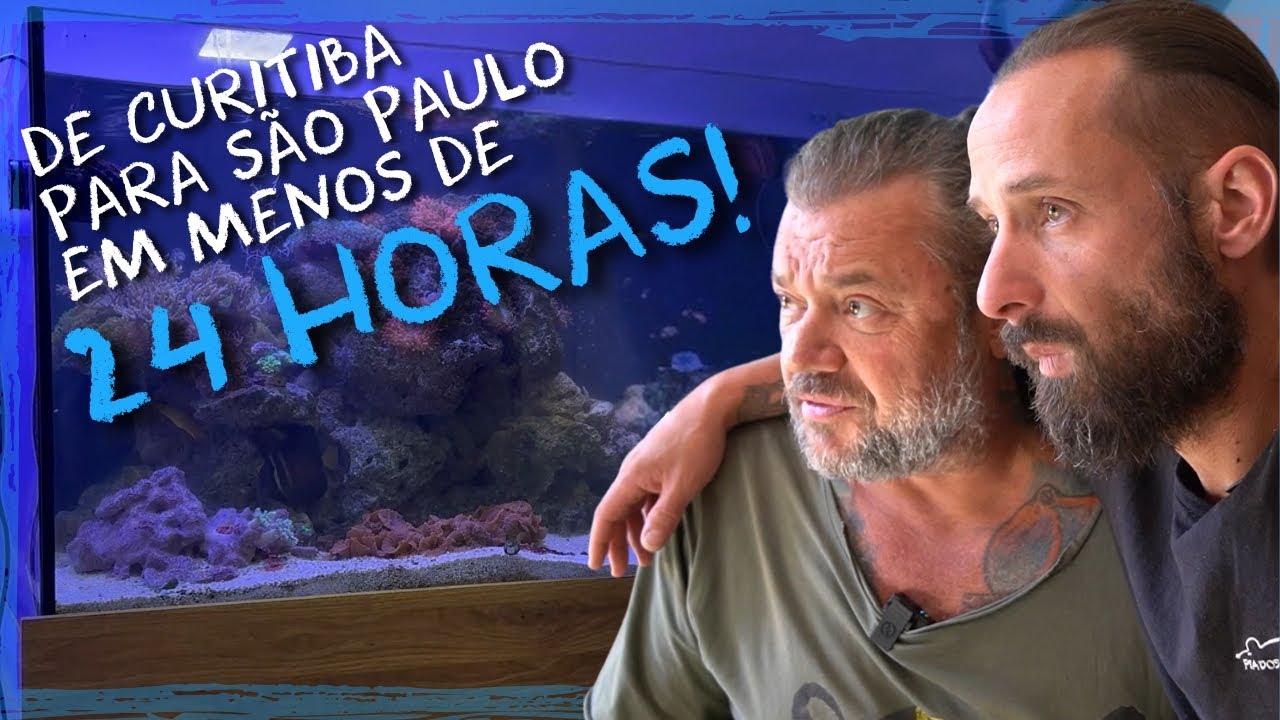 MUDAMOS UM AQUARIO MARINHO DE CURITIBA PARA A CASA DOS BICHOS EM MENOS DE 24 HORAS!