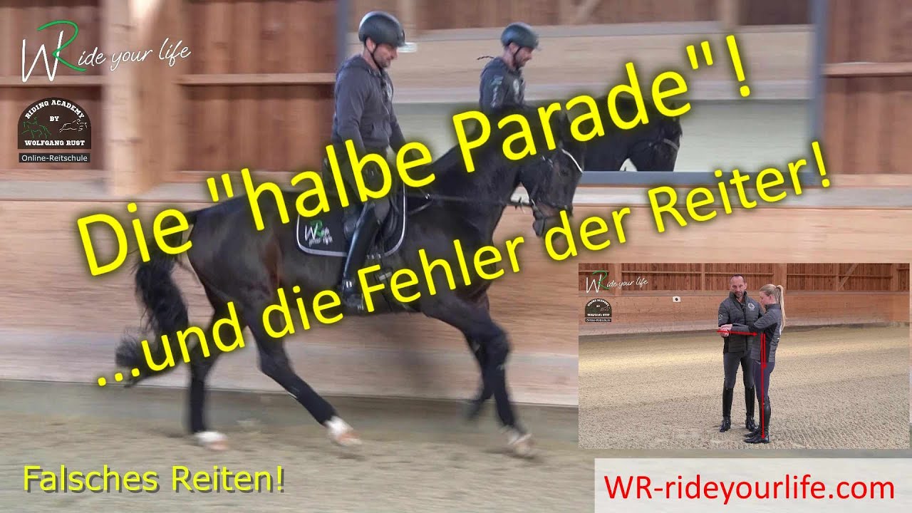 F151 Die halbe Parade, der ausbalancierte Sitz, die Anlehnung, Fehler der Reiter auf ihren Pferden.