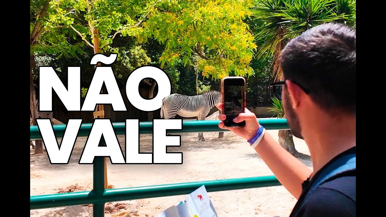 VISITEI O JARDIM ZOOLOGICO DE PORTUGAL PELA PRIMEIRA VEZ (VALEU A PENA?)