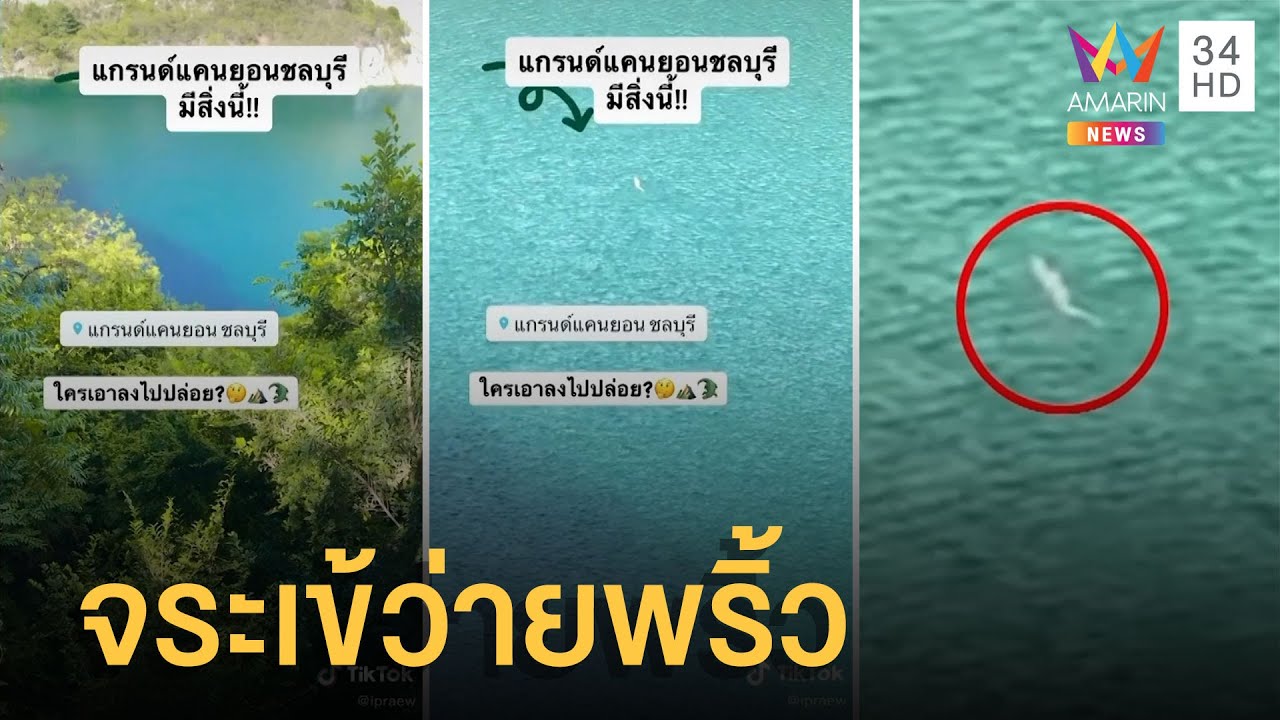 แกรนด์แคนยอนชลบุรี ผงะคล้ายจระเข้ว่ายพริ้วเชียว