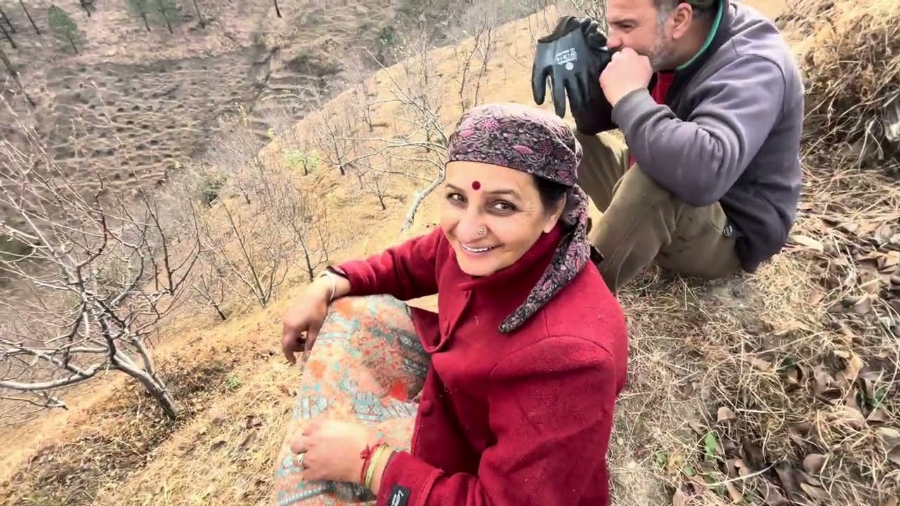 Aisa mt kro yr || jungle khtm hore h || aaj gyi me khet || #himachalpradesh #phadivibes #vlog #vlogs