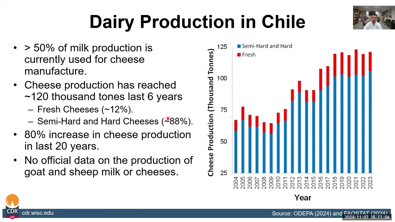 Latin American Flavors: Exploring Cheese Traditions - Chile