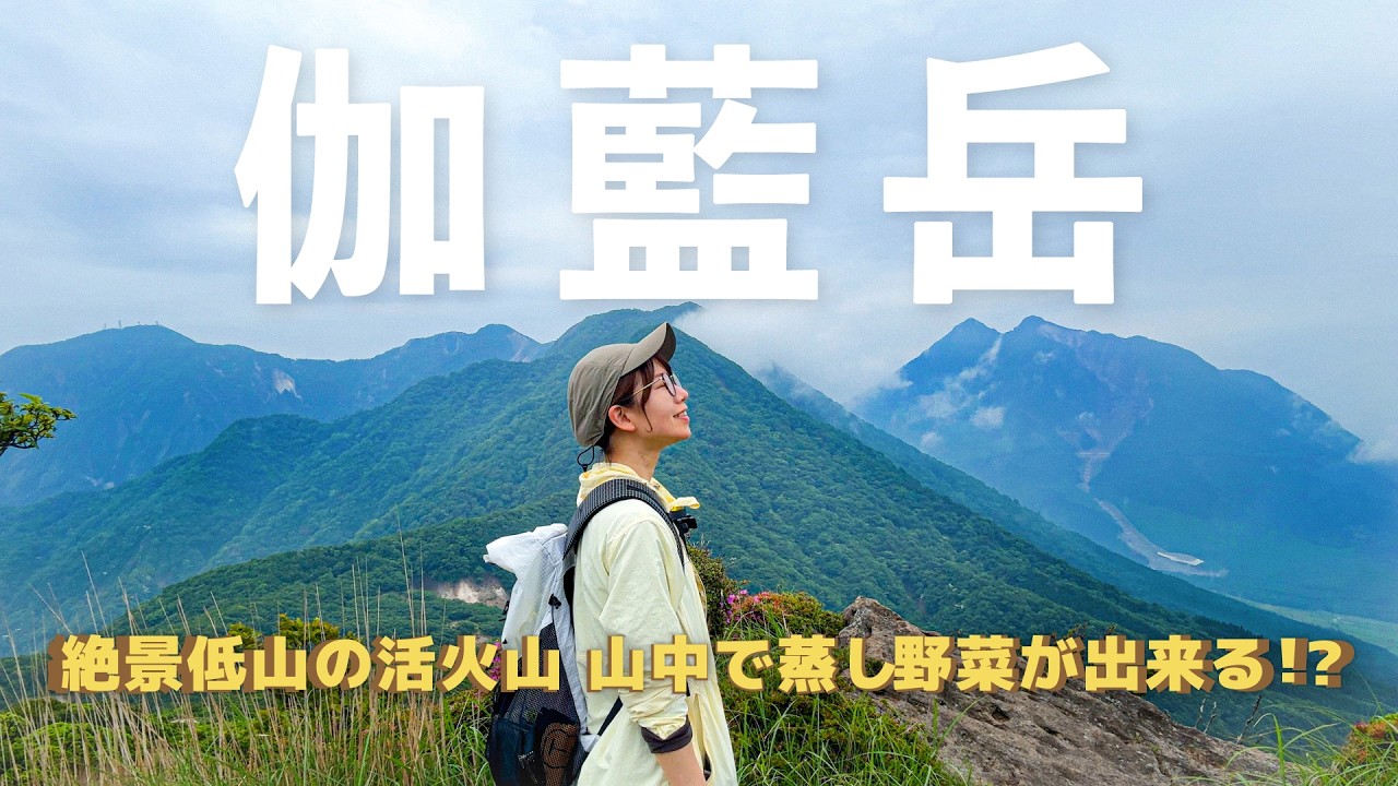 【ミヤマキリシマと地獄蒸し】九州で人気の低山伽藍岳を120%楽しむ！【九州のお山】