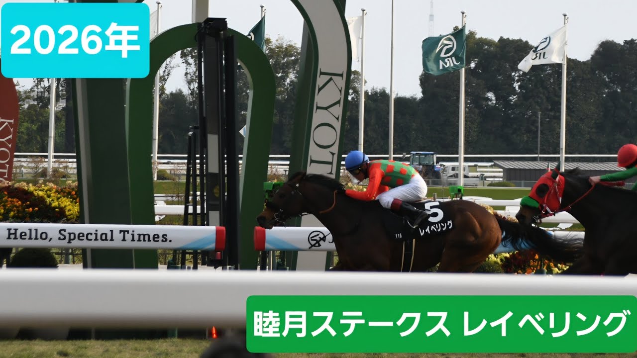 【現地映像】2026年睦月ステークス（OP）優勝馬レイベリング号
