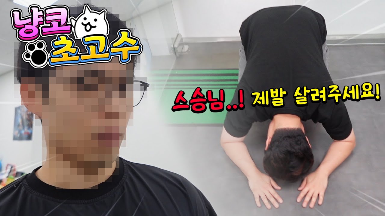 현질로 해결 안 되는 냥코대전쟁.. 국내 최고 실력 스승님을 찾아가봤습니다..!!