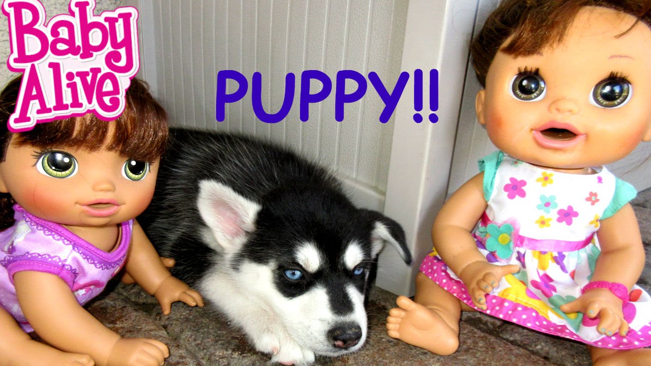 BABY ALIVE Pumpkin & Penny Meet New Puppy Raven!