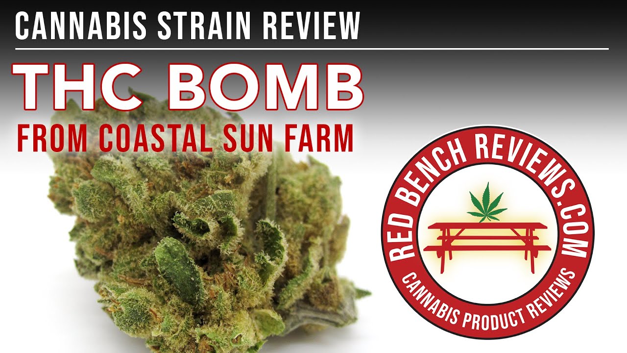 Coastal Sun | THC Bomb Strain Review | 28% THC!