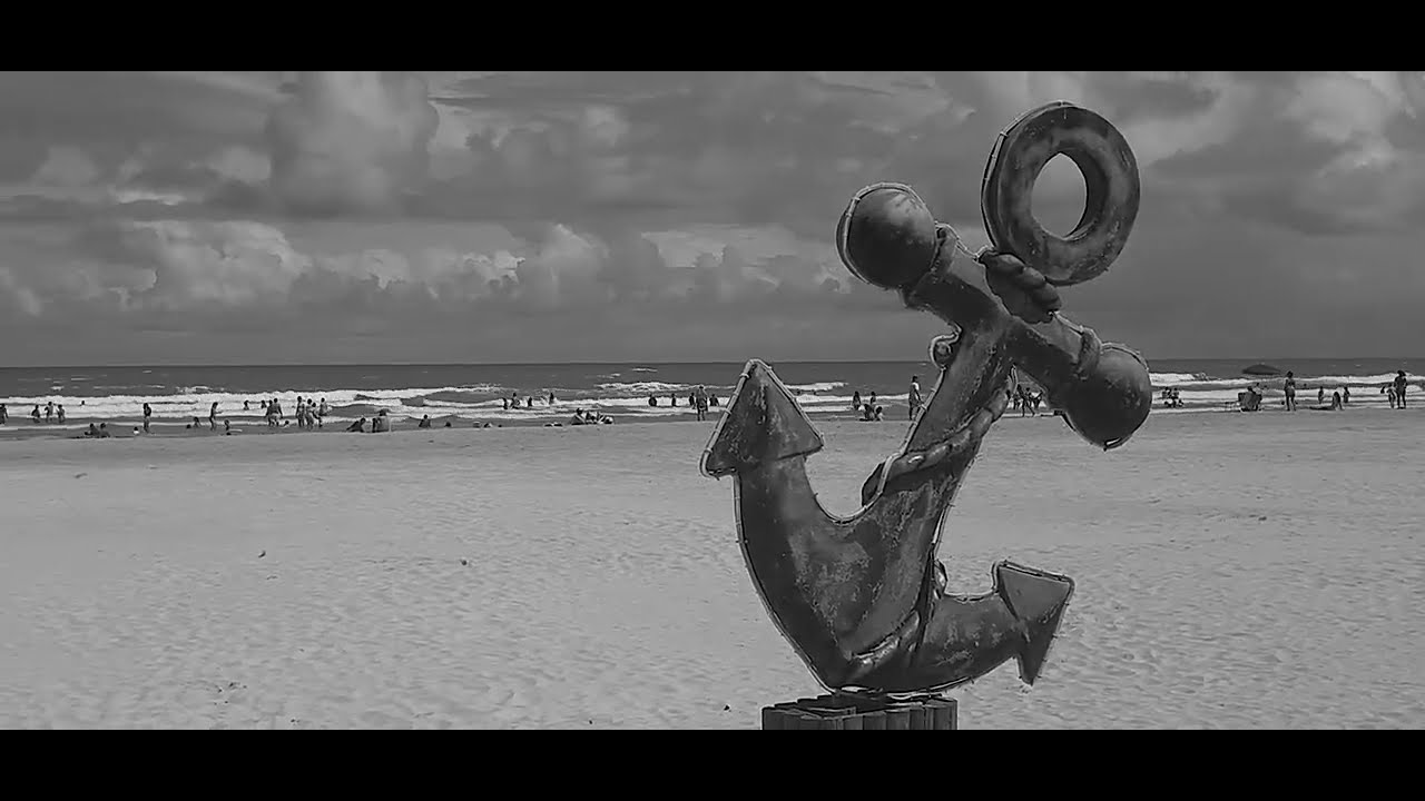 Big Birds that Flew the World - Tricky Question (Official Music Video)