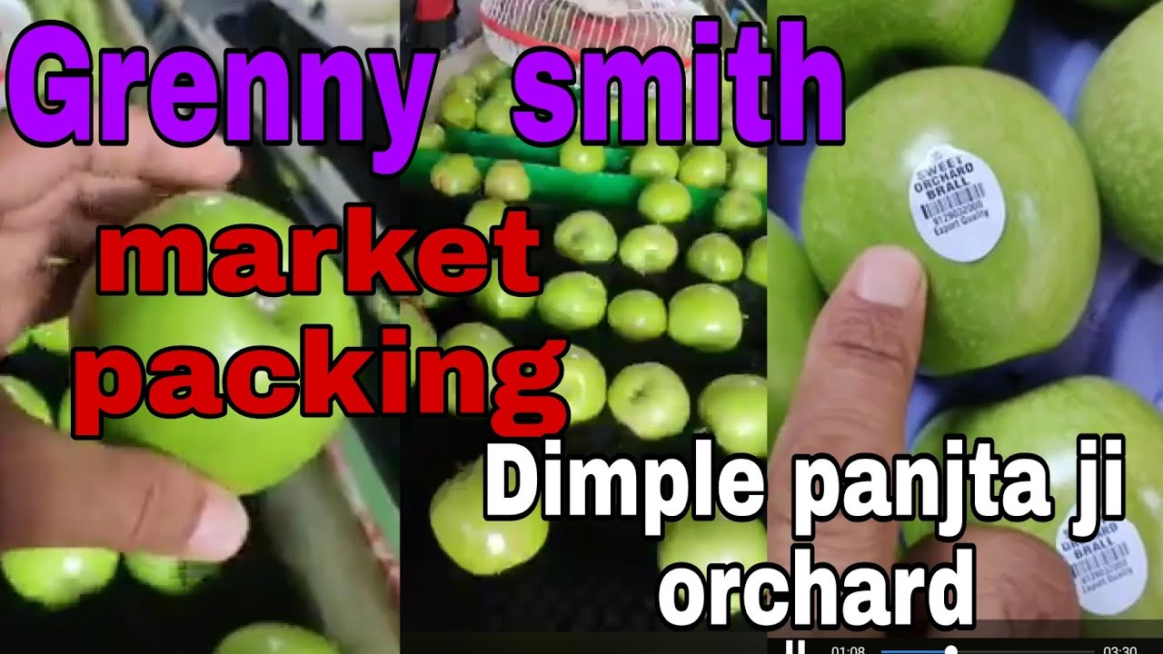 Grenny smith packing|grenny smith market  | Dimple panjta ji apple orchard@Njara pahado ca