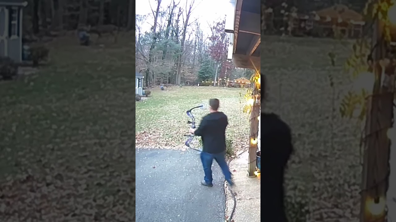 😮 Talk About Backyard Hunting (HUGE BUCK) #shorts #hunting #deerhunting #deer