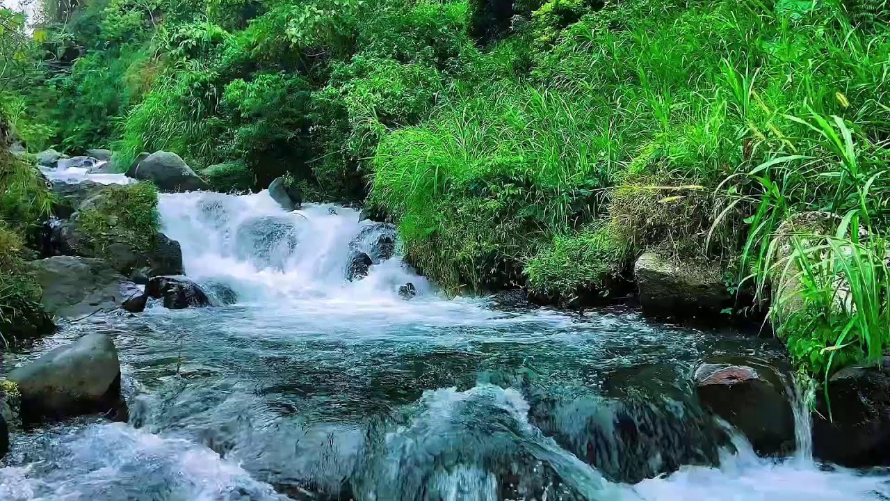 Flowing Mountain Water Stream, Forest River Sounds, Sleep