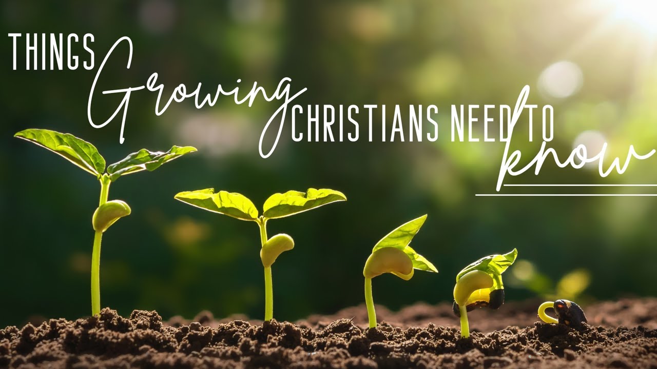 The Importance Of The Word Part 2 // Things Growing Christians Should Know