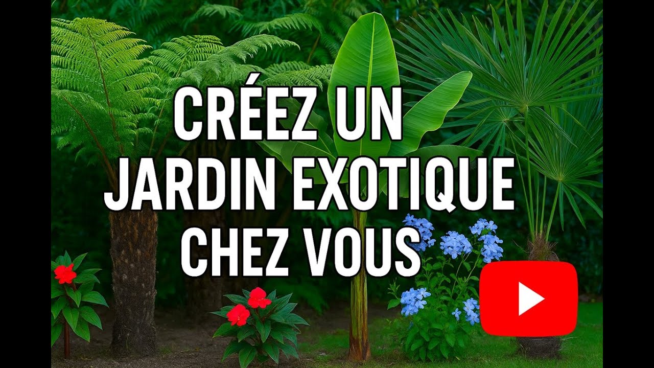 🌴Je veux créez un jardin exotique !🌴