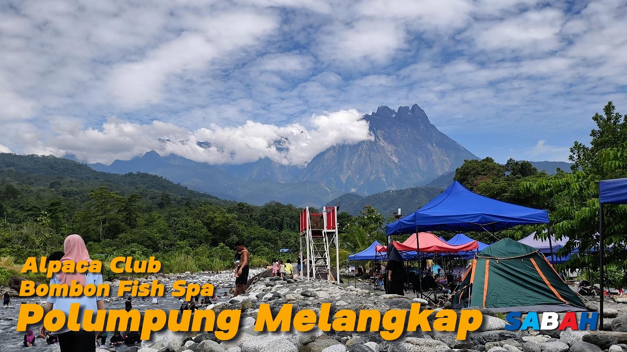 🇲🇾 Exploring Sabah: Alpaca Club, Bombon Fish Spa & Polumpung Melangkap View Campsite
