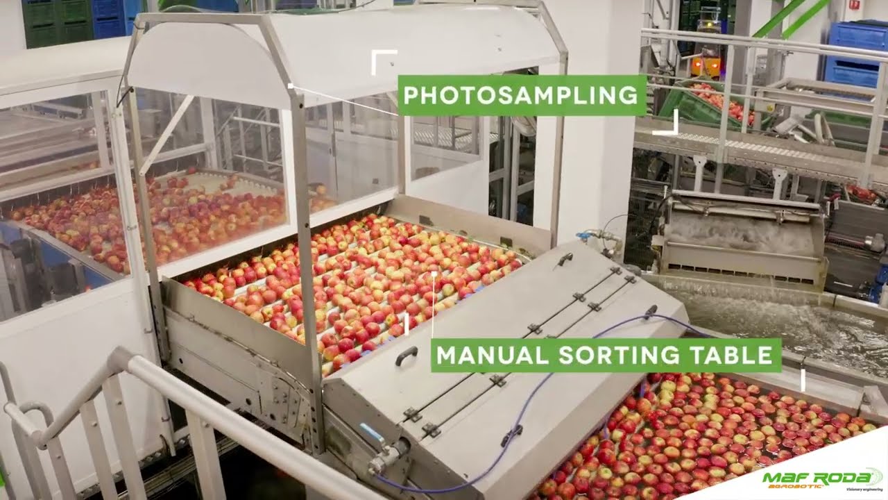 2022 - COOP ROEN (ITALY) - Apple presizing plant-v. EN