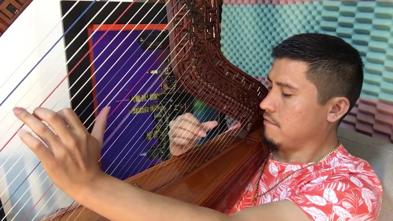 Alicia Delgado-Quien toma más que yo (cover) HUILVER PRE  ArpistaProfesional ClasesdeArpa: 970475210