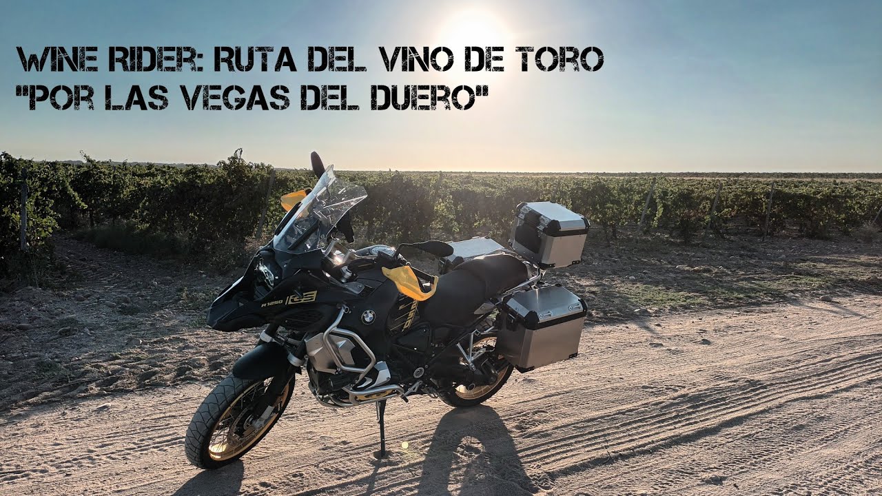 Wine Rider: 
