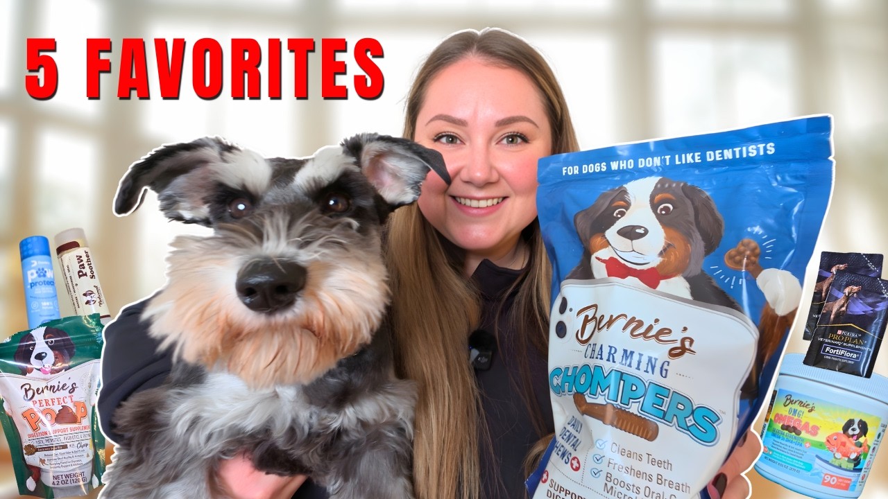 We Tested 5 Dog Products For Months - Here’s What Happened