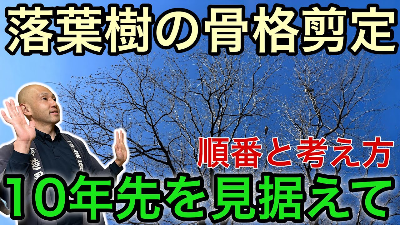 【樹命を長くする剪定】 健康で長生きできる骨格づくり