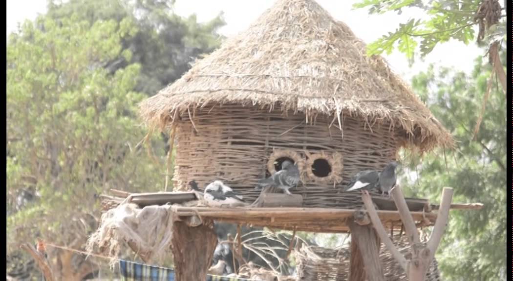 The warm heart of Africa. Malawi