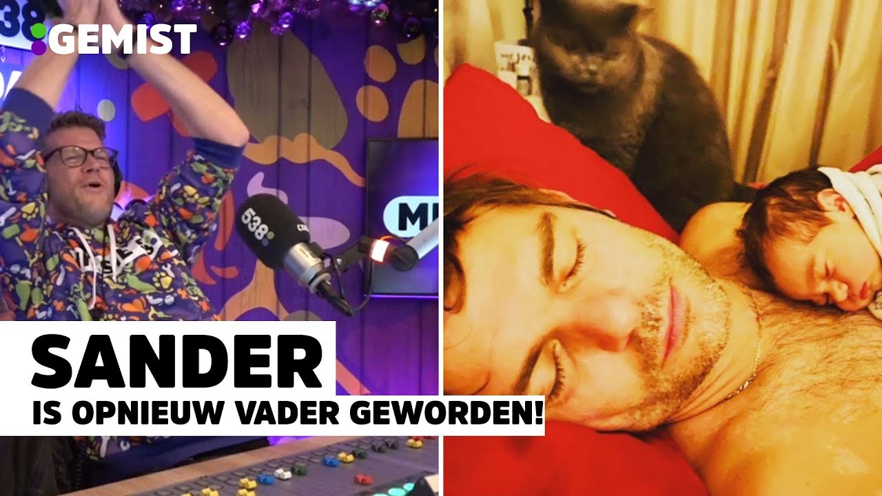 Sander: 