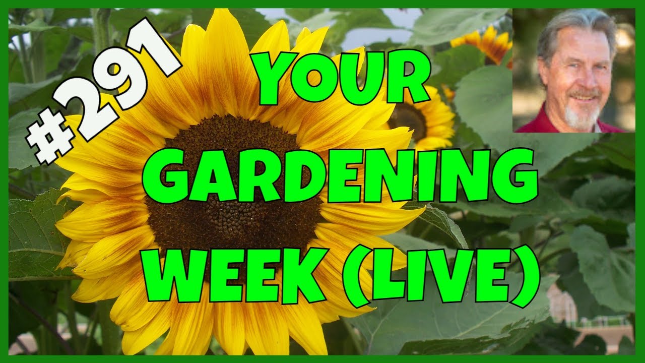 How to Grow Cool Season Crops (Q&A)