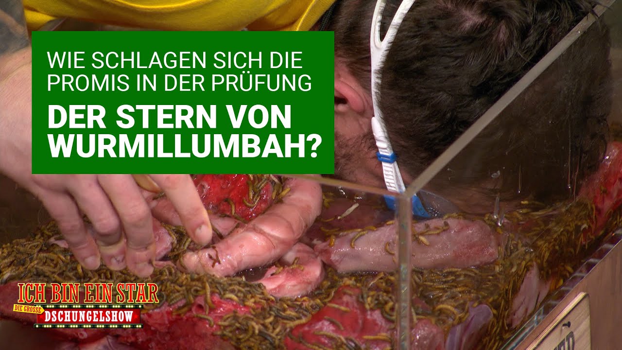 Pr&uuml;fung Tag 9 - Der Stern von Wurmillumbah | Die gro&szlig;e Dschungelshow 2021