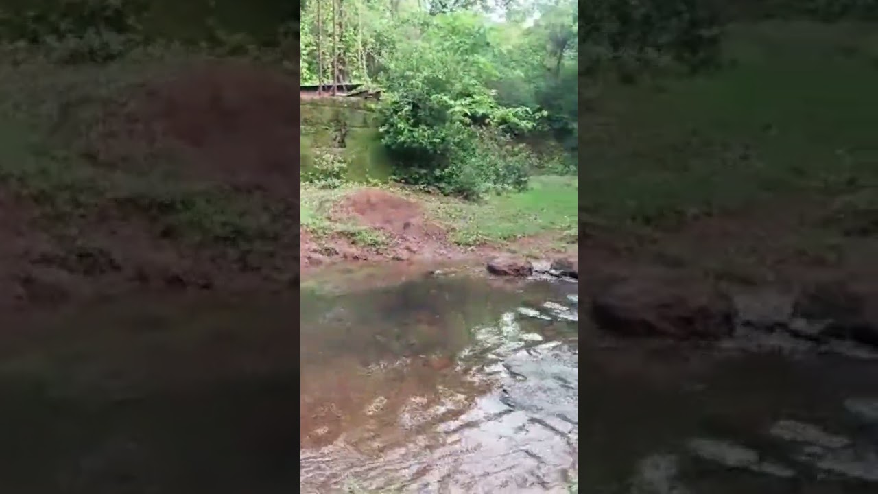 Adhkhal Native place Mandangad 