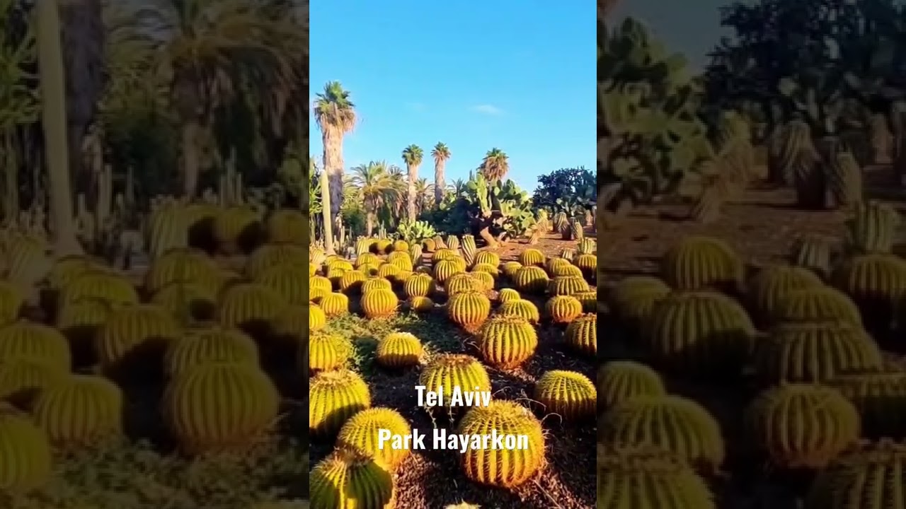 Tel Aviv Park Hayarkon Israel