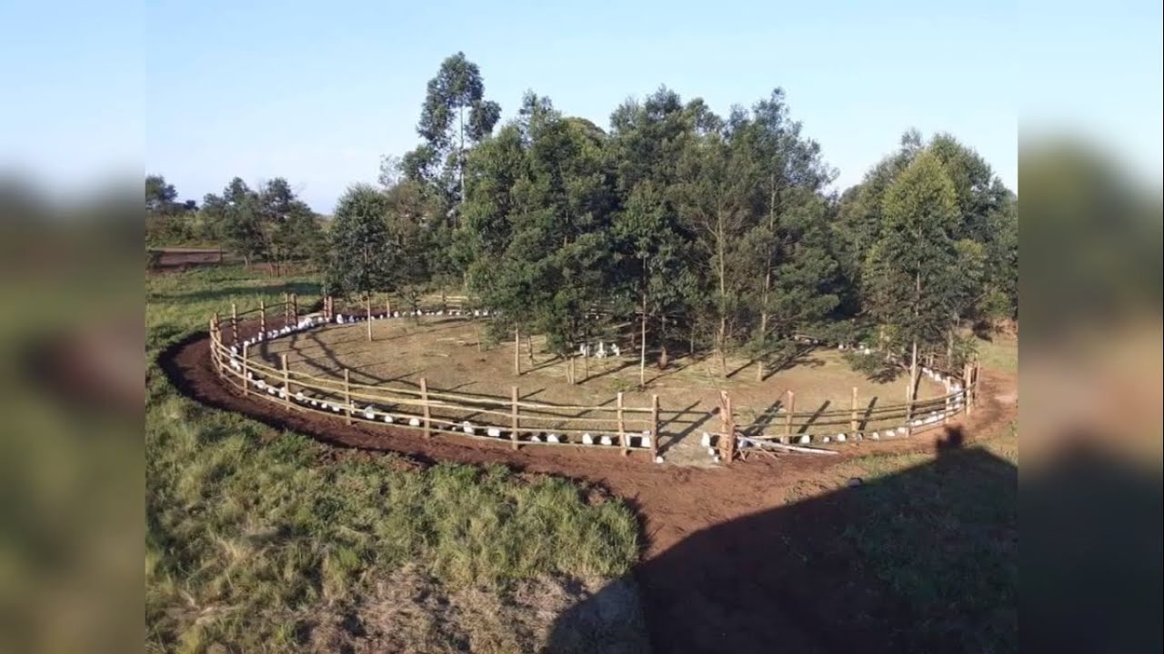 INdaba ka Mbambo - Shembe