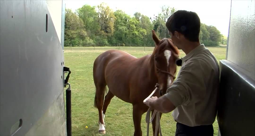 J'éduque mon cheval N°6: le van