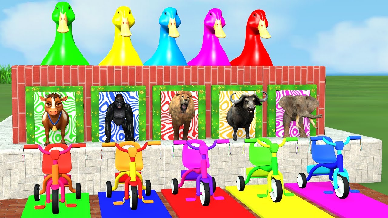 Long Slide Game With Cow Elephant Gorilla Hippopotamus Tiger 3d Animal Game Funny 3d Animals