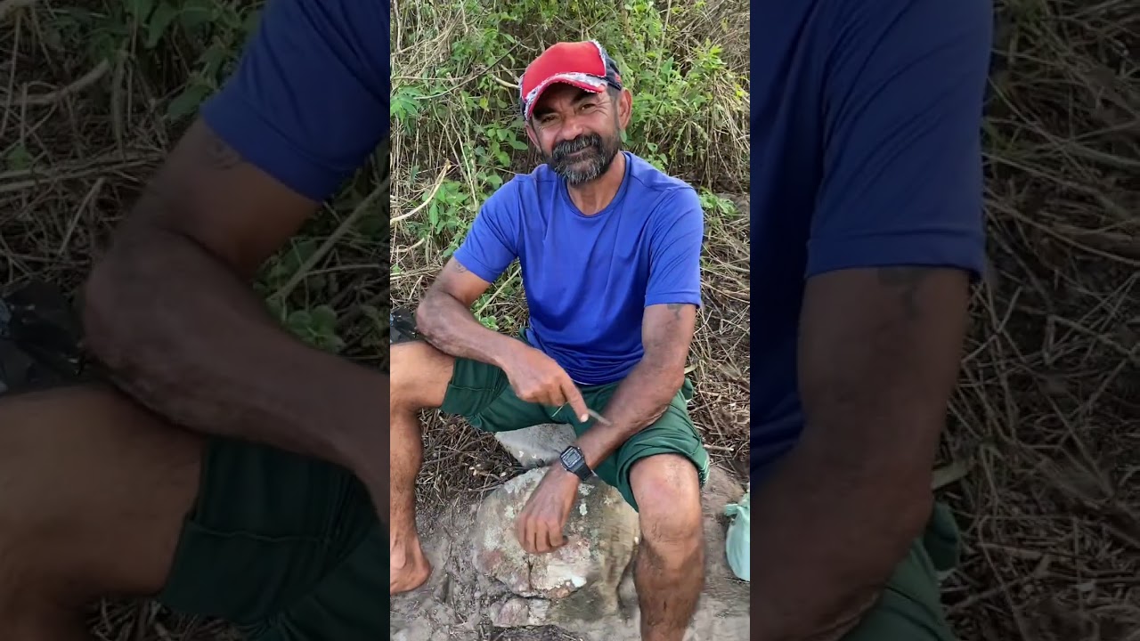 Pérolas de um Nordestino Arretado!🤠 #13