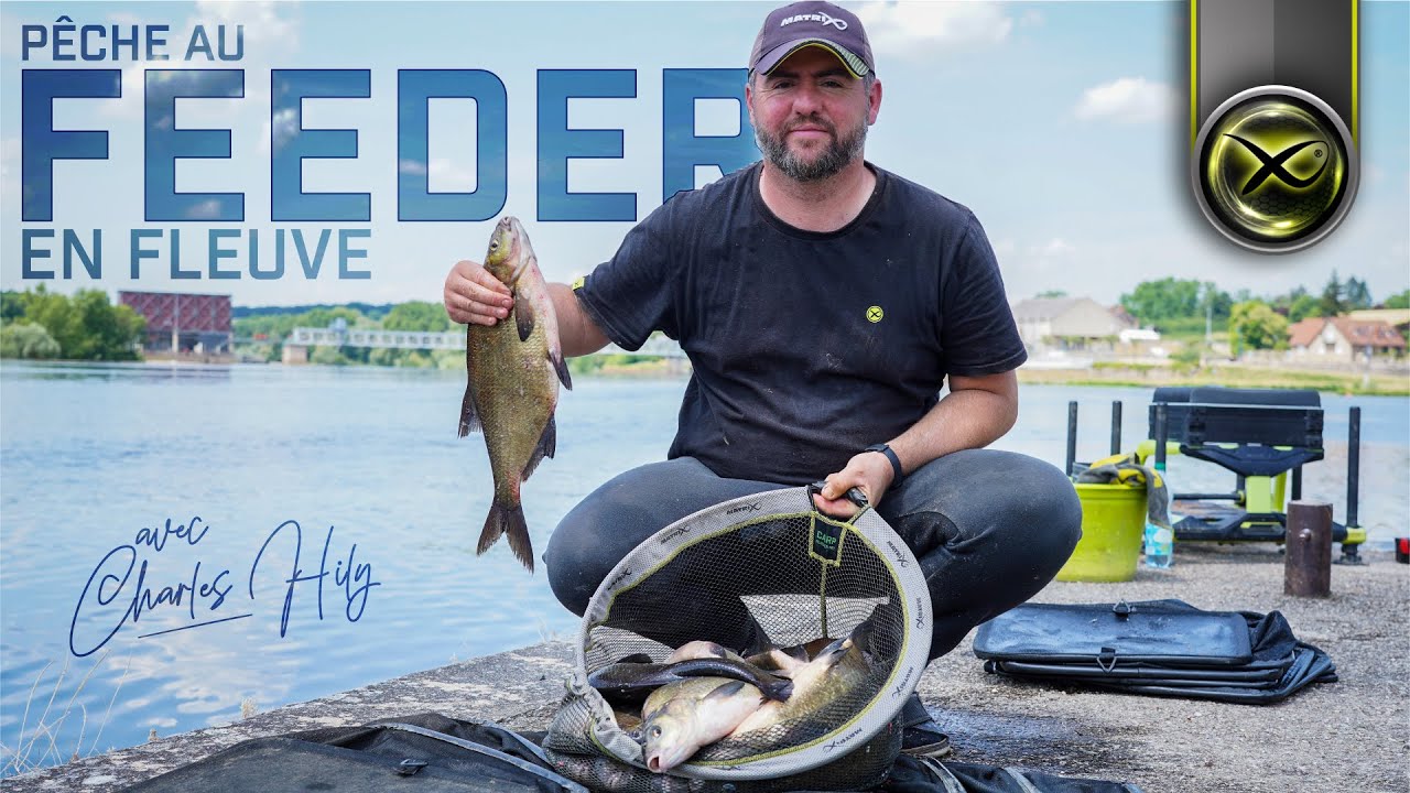 Pêche au FEEDER en Fleuve - Brèmes sur la Loire avec Charles Hily - MATRIX FISHING TV FRANCE #france
