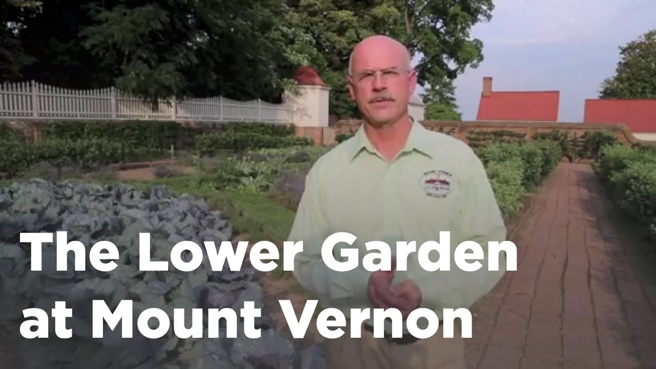 The Lower Garden at Mount Vernon