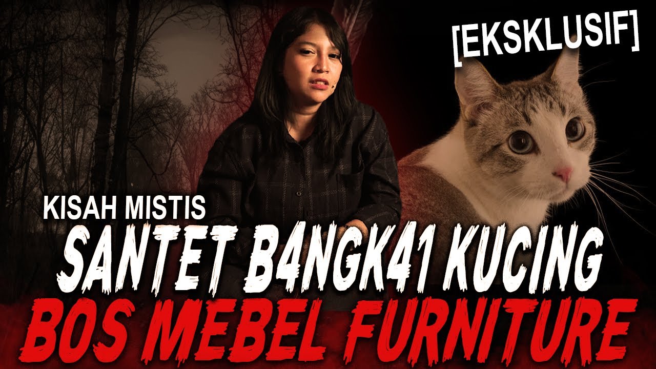 1000 JIN DIPELIHARA TAPI TETEP BISA DITEMBUS SANTET B4NGK3 KUCING !! KISAH MISTIS BOS MEBEL