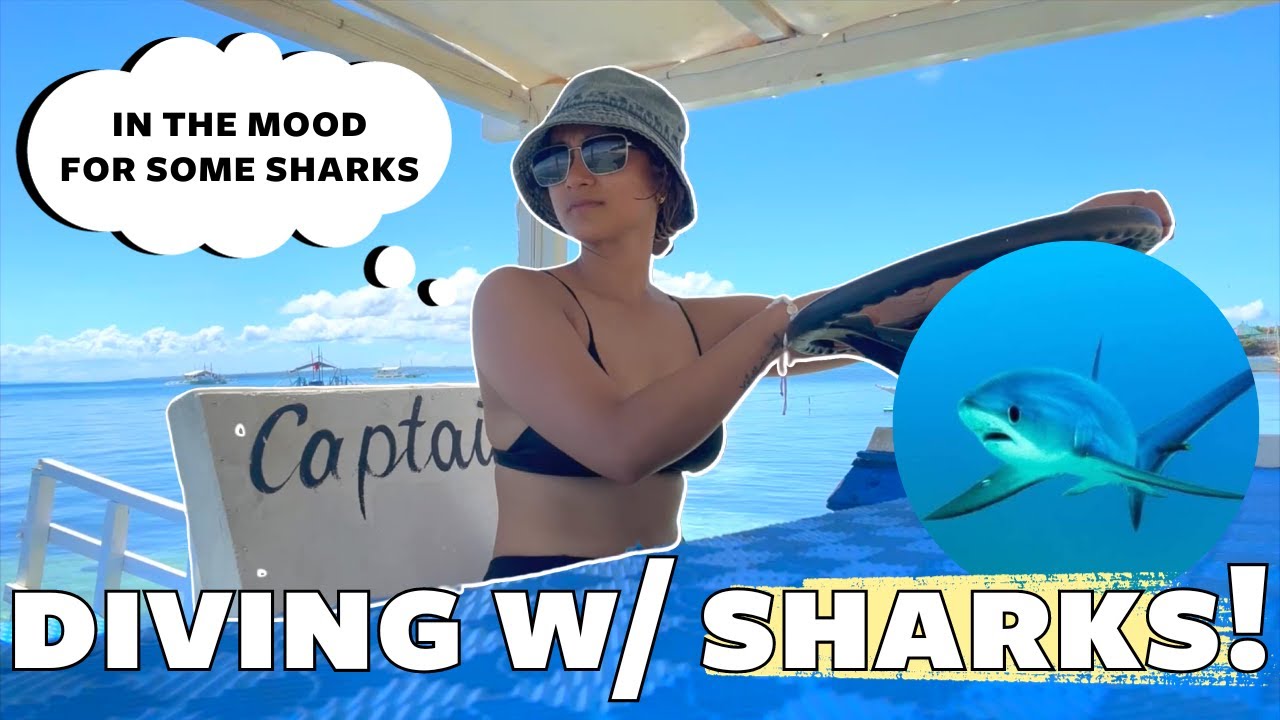 I WENT DIVING WITH SHARKS! 🦈 | Thresher Shark Diving In Malapascua Cebu | Allyn Altura