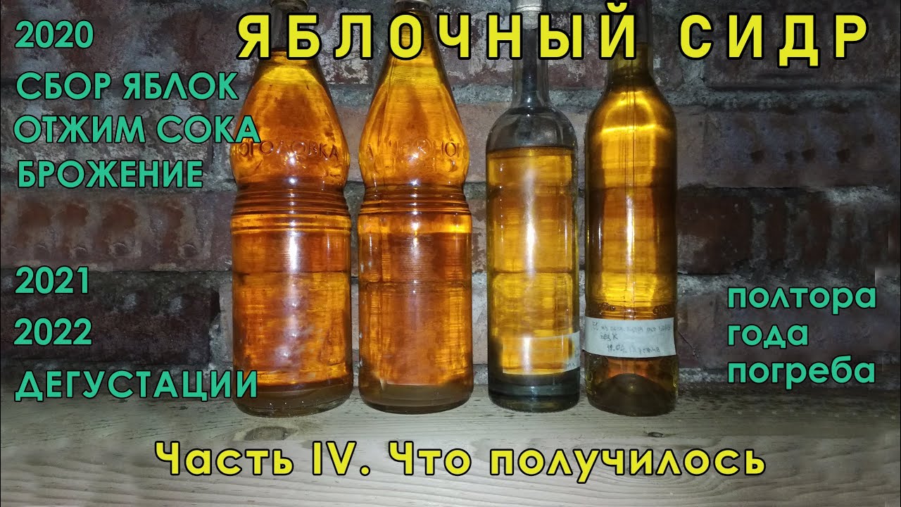 Яблочный сидр. Часть IV. Что получилось