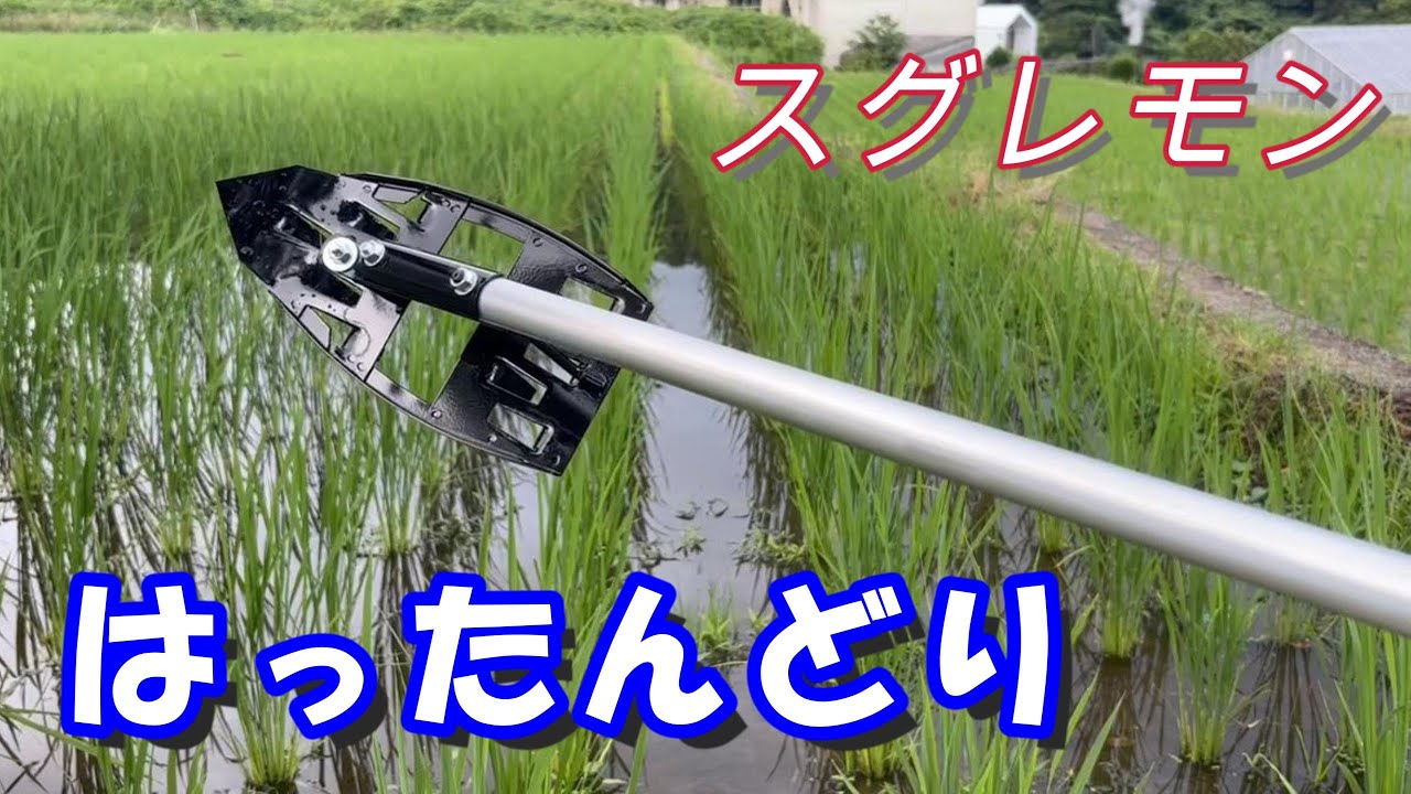 はったんどり　今年の夏 使って良かった除草具