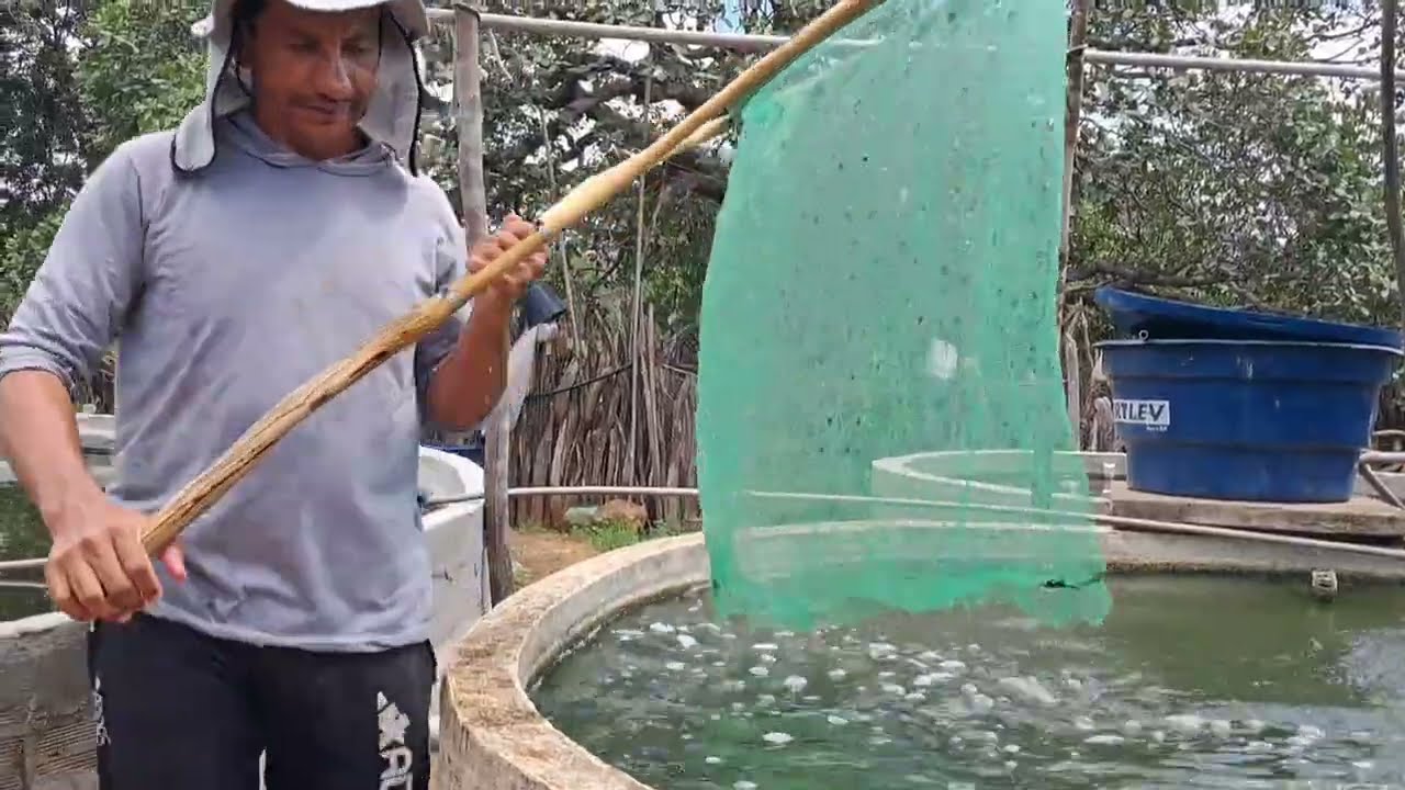 PESCANDO  PEIXES SERA QUÊ VOU PEGAR #sertãopeixesefamílianaroça 