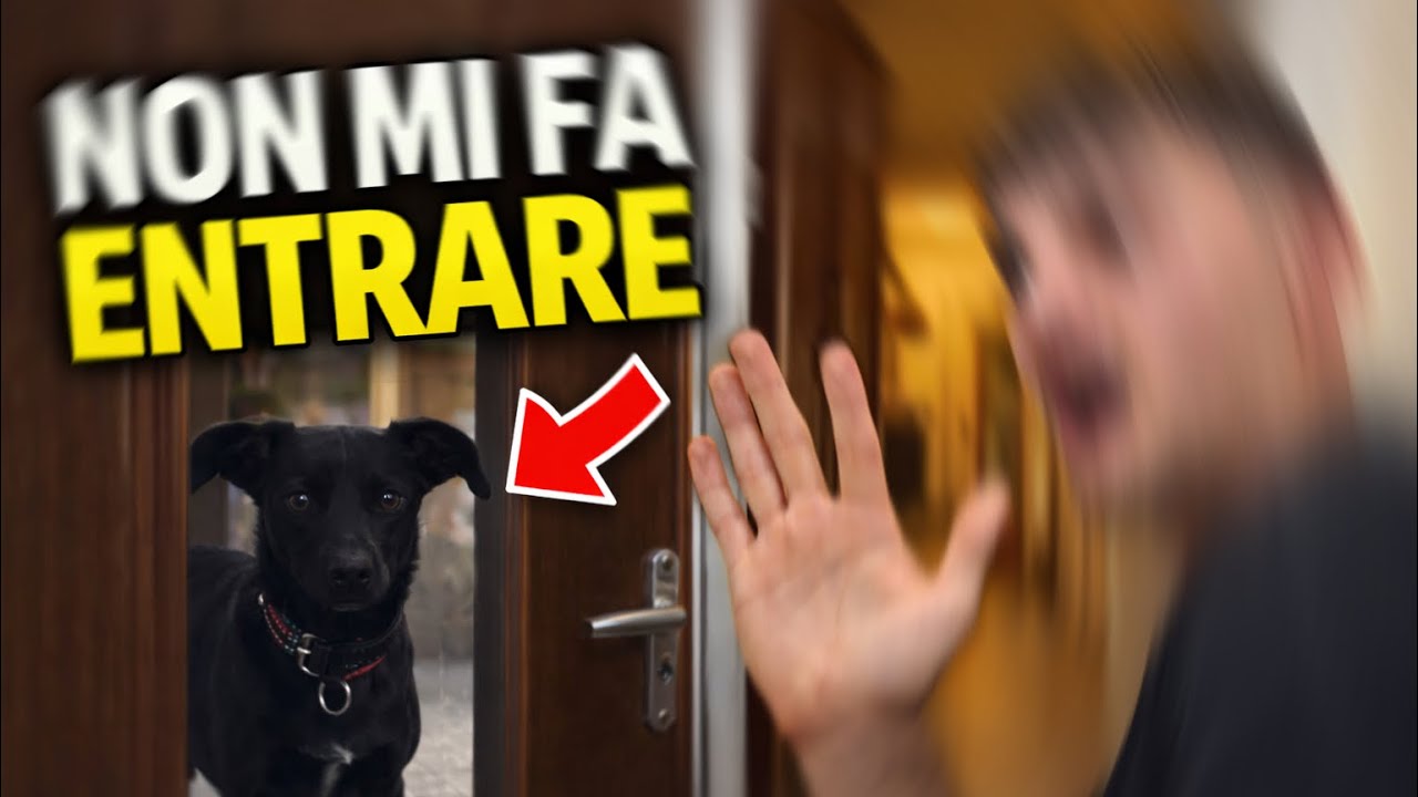 Ho dovuto lasciare tutto lì… (non sto scherzando)